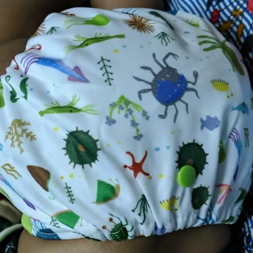 Image of: Bum2Bum Modern Cloth Diaper Reusable For Babies in Perambur