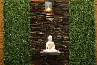 Image of: Desire Aesthetics Hospital In Chennai
