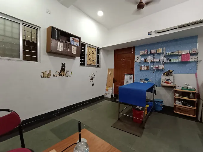 Image of: Bow N Mew Pet Clinic In Kotturpuram