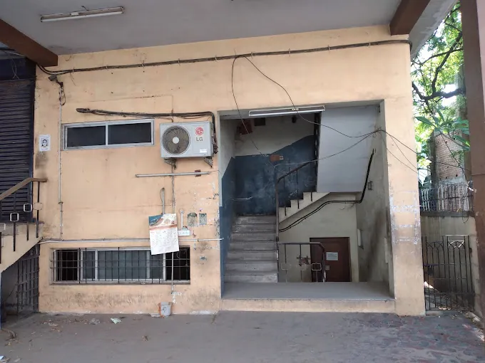 Image of: Cnr Herbs In Kodambakkam 3