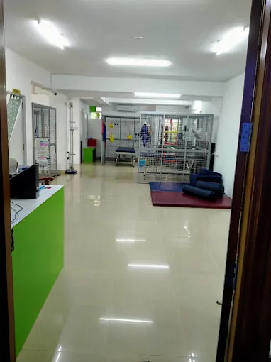 Image of: Fredys Physiotherapy Clinic In Chennai 5