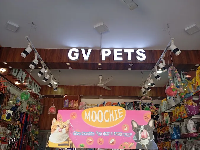 Image of: Gv Pets And Clinic In Virugambakkam