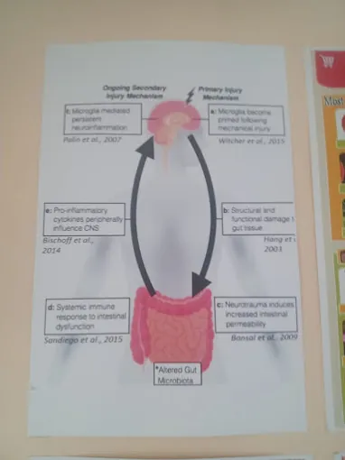 Image of: Inan Holistic Clinic In Alwarpet