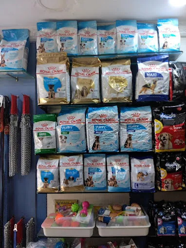Image of: Jkpet Care And Clinic In Chennai