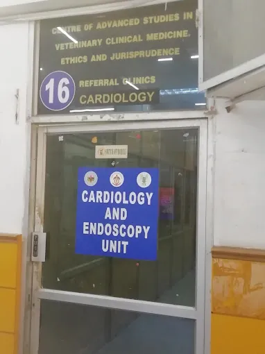 Image of: Madras Veterinary College Hospital Emergency In Choolai