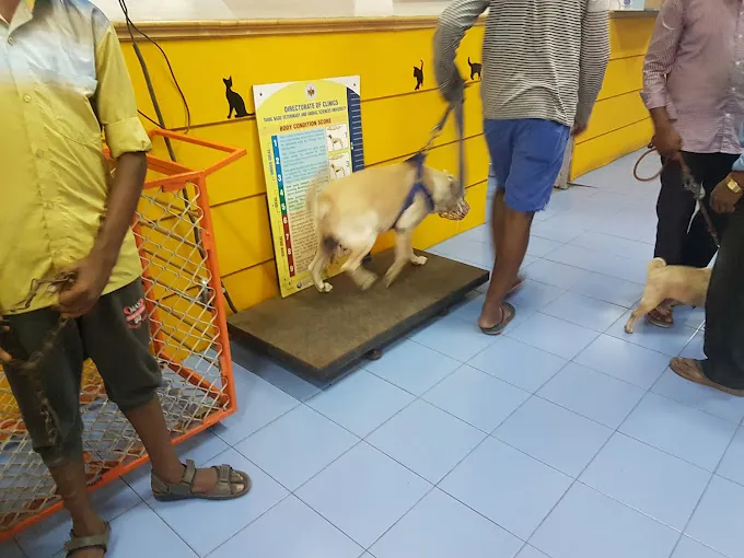 Image of: Madras Veterinary College Hospital Emergency In Choolai