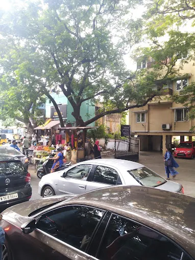 Image of: P G K Poly Clinic In Thiruvanmiyur