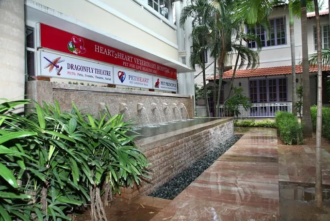 Image of: Petheart Superstore In Foreshore Estate