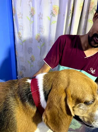 Image of: Saisha Pet Speciality Hospital Pet In Ambattur 4