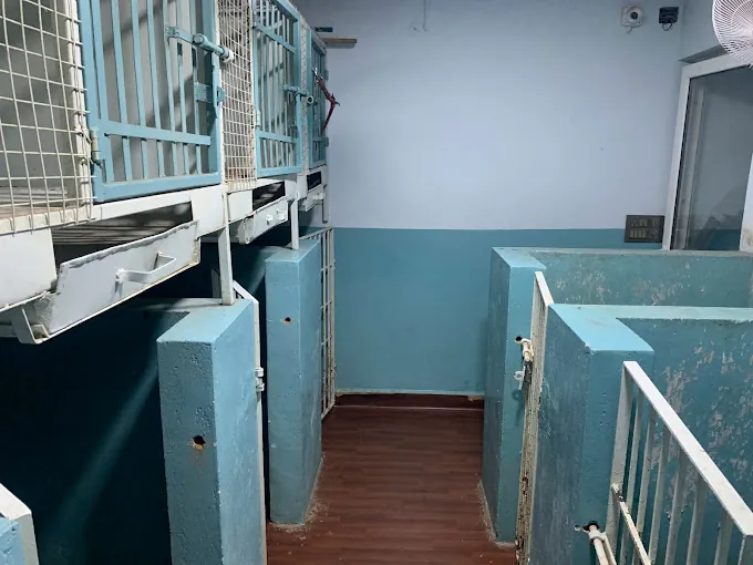 Image of: Saisha Pet Speciality Hospital Pet In Ambattur 5