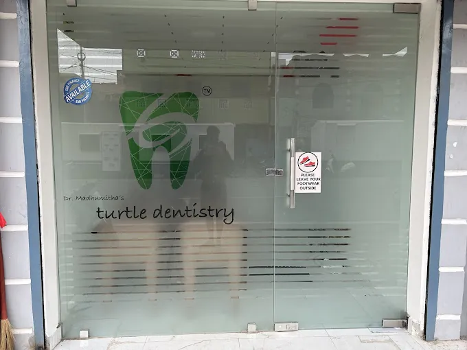 Image of: Turtle Dentistry In Chennai 3