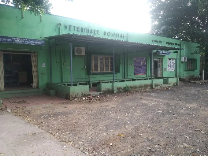 Image of: Veterinary Hospital In Nandanam