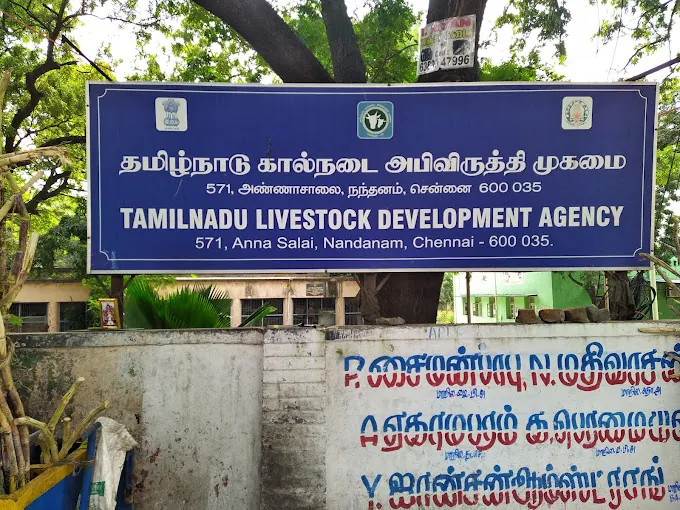 Image of: Veterinary Hospital In Nandanam 6