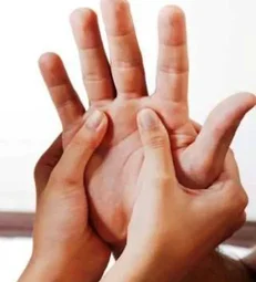 Image of: Aj Wellness Care In Ramapuram