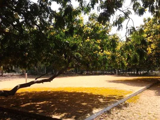 Image of: Besant Arundale Senior Secondary School In Thiruvanmiyur 3