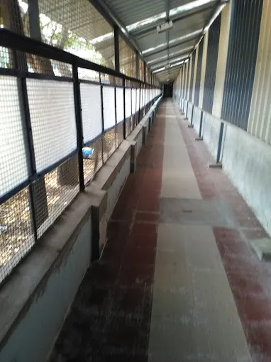 Image of: Kalaimagal Viddyalaya Mathrsec School In Royapuram 2