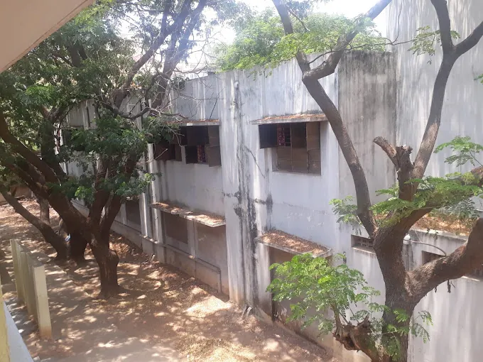 Image of: Kamarajar School In Ambattur 4