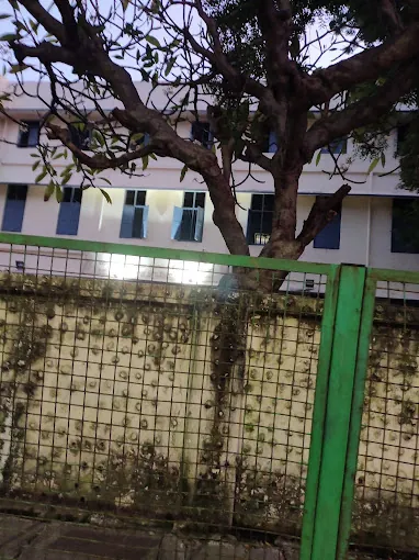Image of: Lady Sivaswamy Ayyar Girls School In Mylapore
