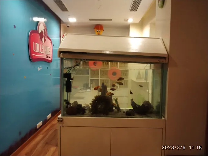 Image of: Lolly Kids Child Care In Royapettah