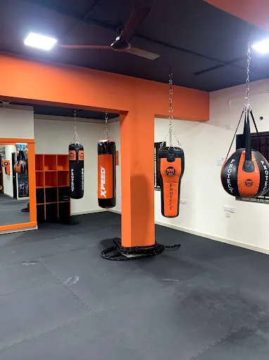 Image of: Mma 360 Degree Training Academy In Adyar 2