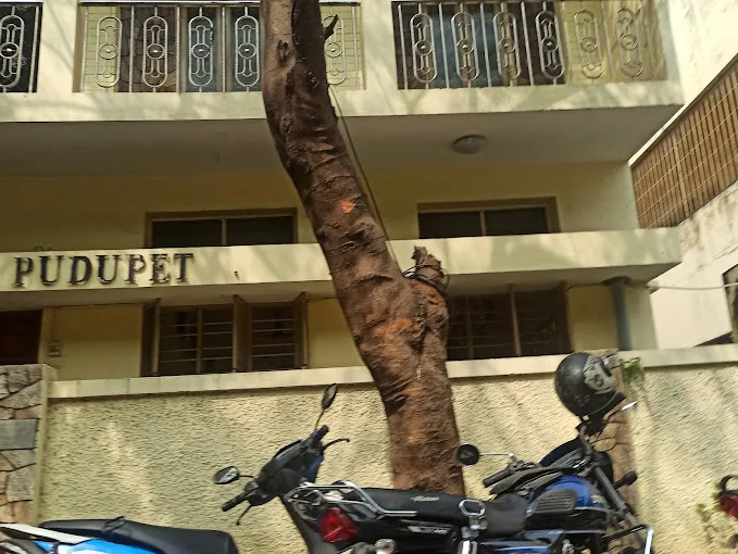 Image of: Presentation Convent School In Egmore