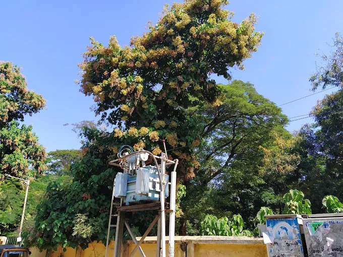Image of: Sishya School In Chennai 5