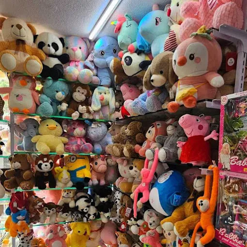 Image of: Buntu Tintu Shoppee In Besant Nagar 7
