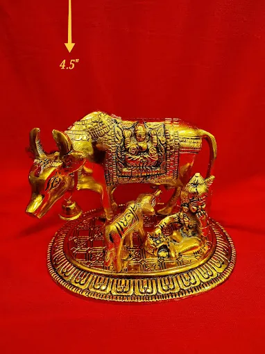 Image of: Khimani Trade Link In George Town 7