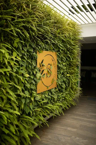 Image of: Soul Skin Clinic In Anna Nagar
