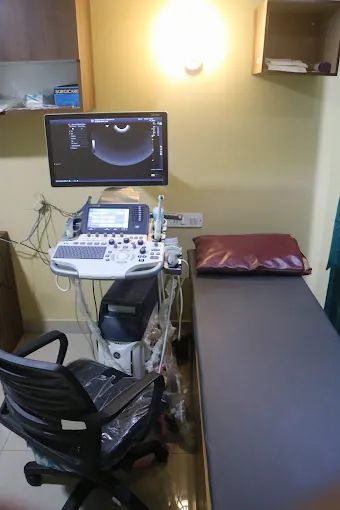 Image of: Gemini Scans Pet In Vadapalani