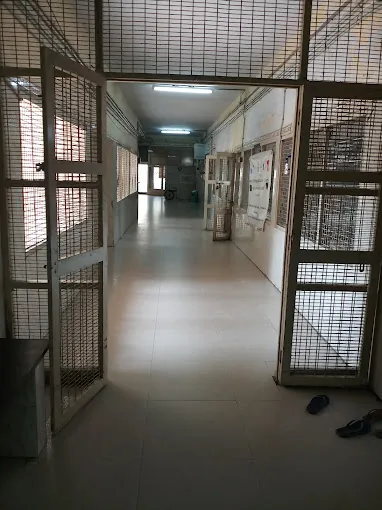Image of: Government Peripheral Hospital In Anna Nagar 3