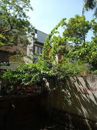 Image of: Government Sidha And Homoeopathy Hospital In Adyar 7