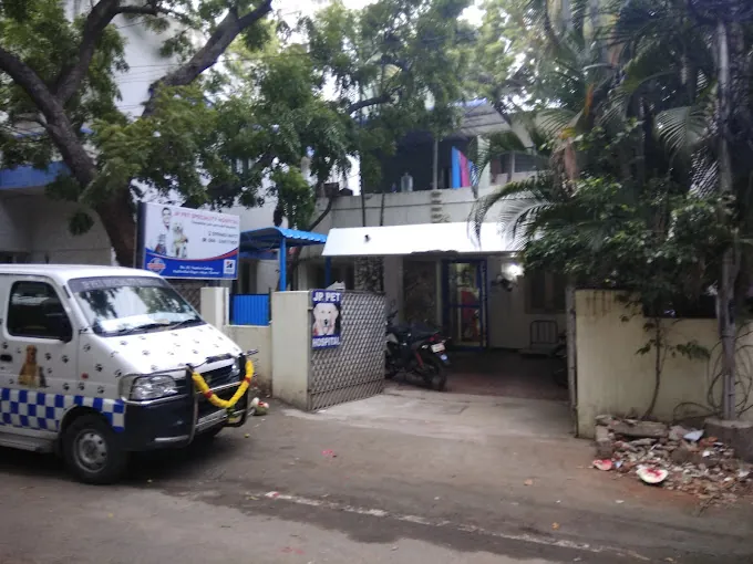 Image of: Jp Pet Speciality Hospital In Adyar