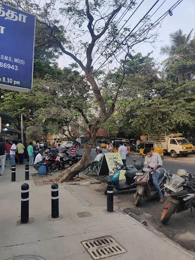 Image of: Siddha Hospital In Besant Nagar 5