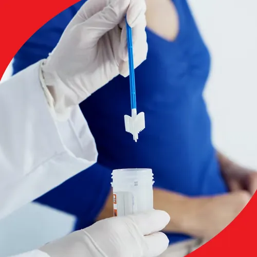 Image of: The Bio Clinical Laboratory In Virugambakkam