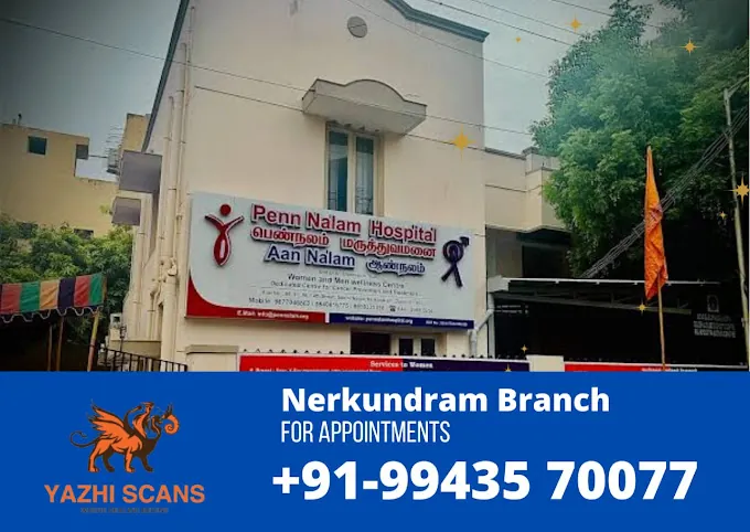 Image of: Yazhi Scans In Chennai 3