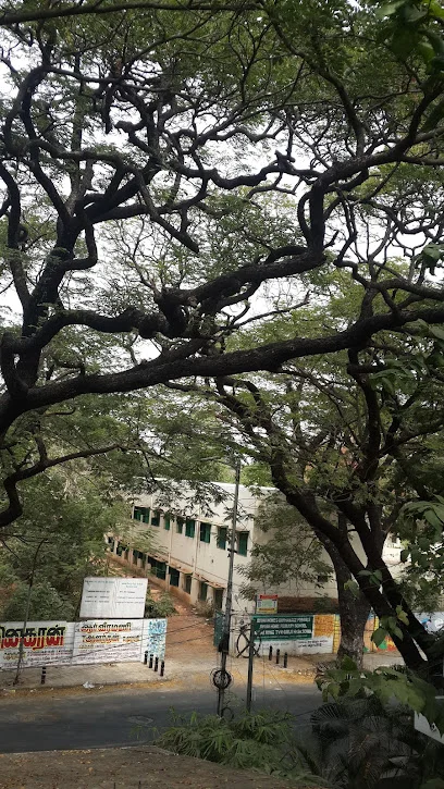 Image of: Avvai Home T V R School In Adyar