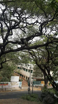 Image of: Avvai Home T V R School In Adyar 2