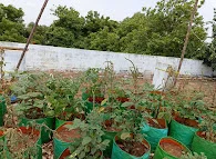 Image of: Cms Chinnandi Madam School In Kodungaiyur