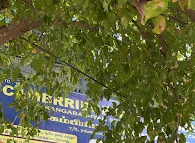 Image of: Fathima Central Senior Secondary School In Saidapet 4
