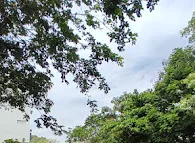 Image of: Govt Model Higher Secondary School In Saidapet 5