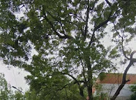 Image of: Kbc Hospital In Erukkancheri 2