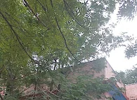 Image of: Managaratchi Magaperu Maruthuvamanai In Kodambakkam 4