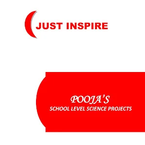 Image of: Poojas School And College Projects In Chintadripet