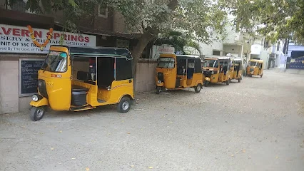 Image of: Silver N Springs Nursery In Mandaveli