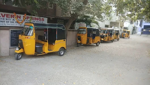 Image of: Silver N Springs Nursery In Mandaveli 2