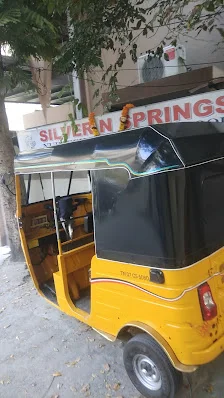 Image of: Silver N Springs Nursery In Mandaveli 3