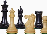 Image of: Vbs Chess Academy In Kk Nagar