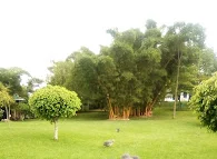 Image of: Venus Nursery Primary School In Mgr Nagar