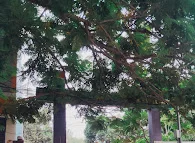 Image of: Ponnusamy School In Kolathur